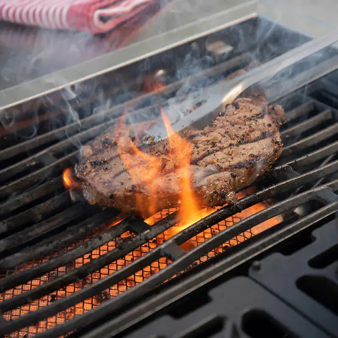 Kirkland Signature Stone Island 12-Burner Propane Grill – Commercial-Grade Outdoor Cooking Center