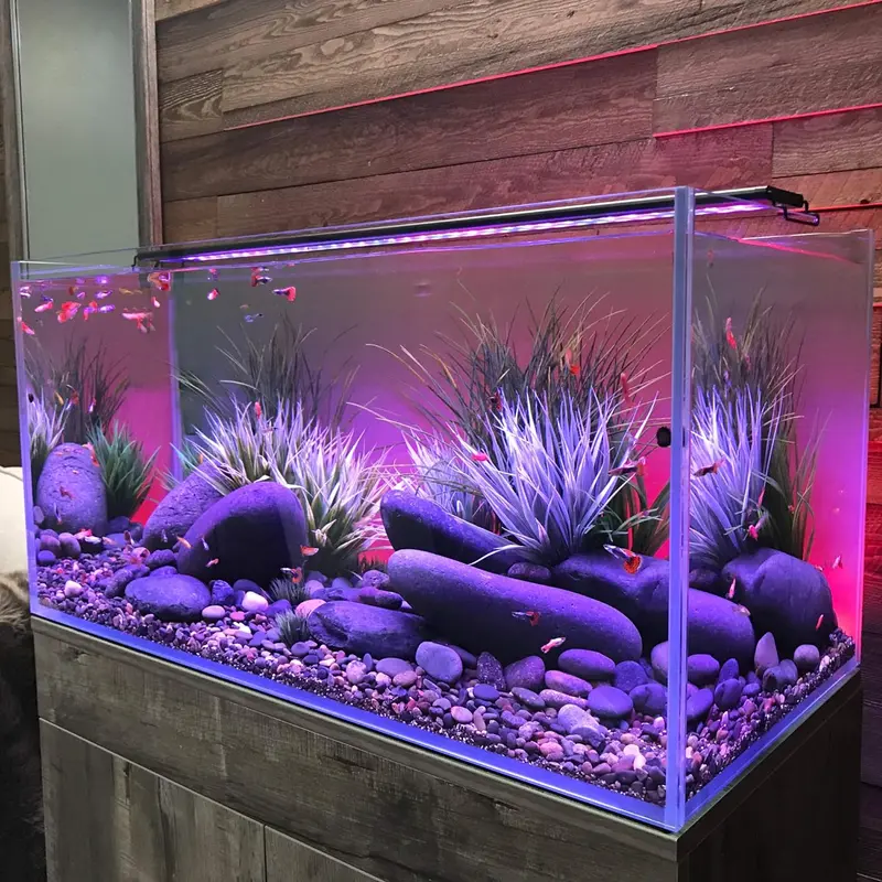Serene 72" Aquarium Experience Kit – Includes LED Lighting, Backlit Background, Frosted Film & Integrated Speaker (Model 4028) 2