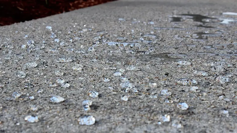 SX5000 WB Water-Based Silane-Siloxane Concrete Sealer – DOT-Approved for Brick, Pavers & Natural Stone